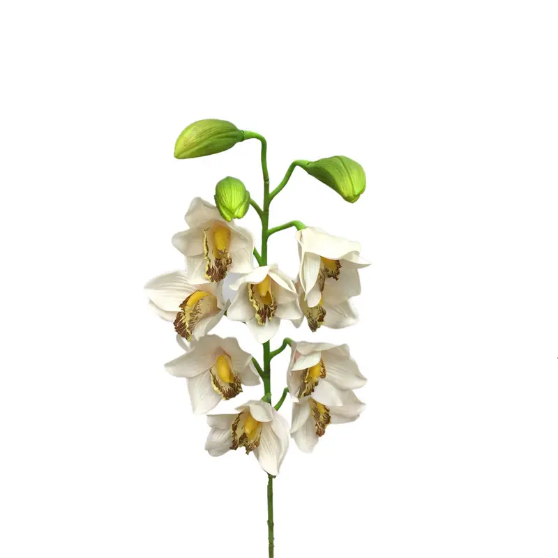 Simulated Cymbidium8198 (3)8kz