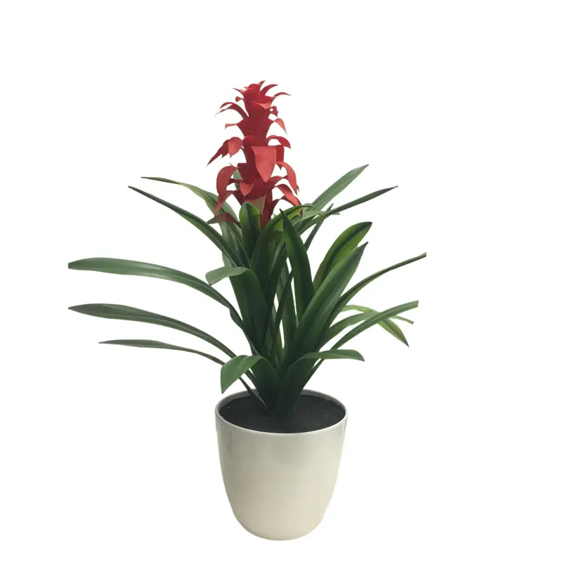 PVC Pineapple Bonsai: Manufacturer of Quality Simulation