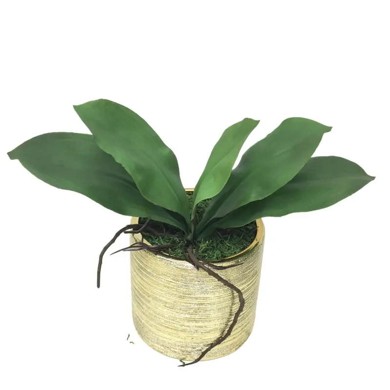 Factory Direct Highly Simulated Butterfly Orchid Leaves01b6t