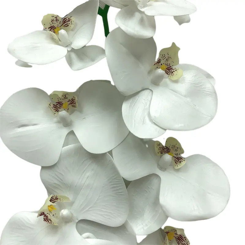 Phalaenopsis artificial flower105rnc