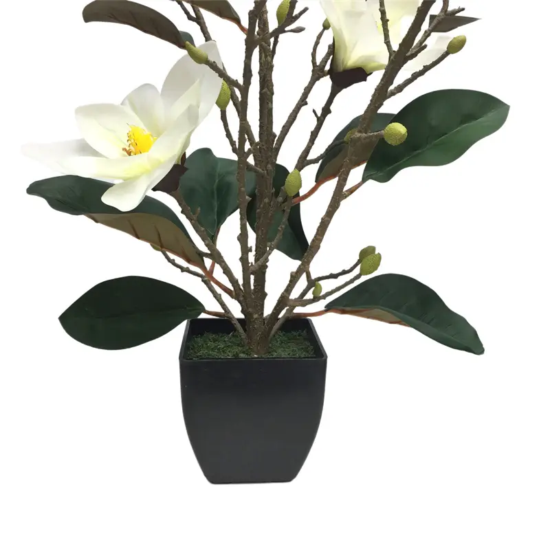 11Fabric Bonsai 6246  (2)uo6