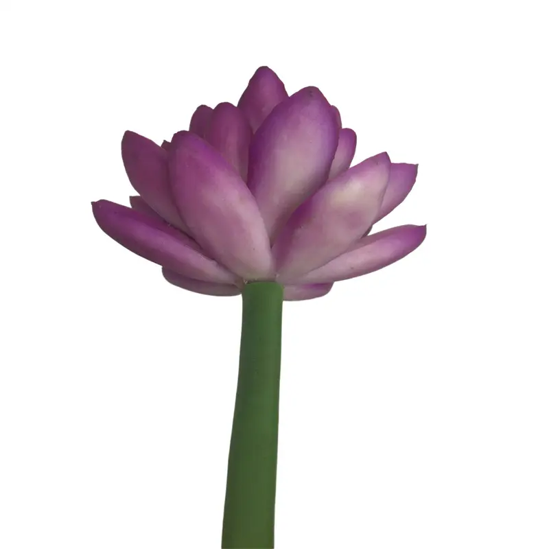 Simulation Snow Lotus（2092） (6)mws