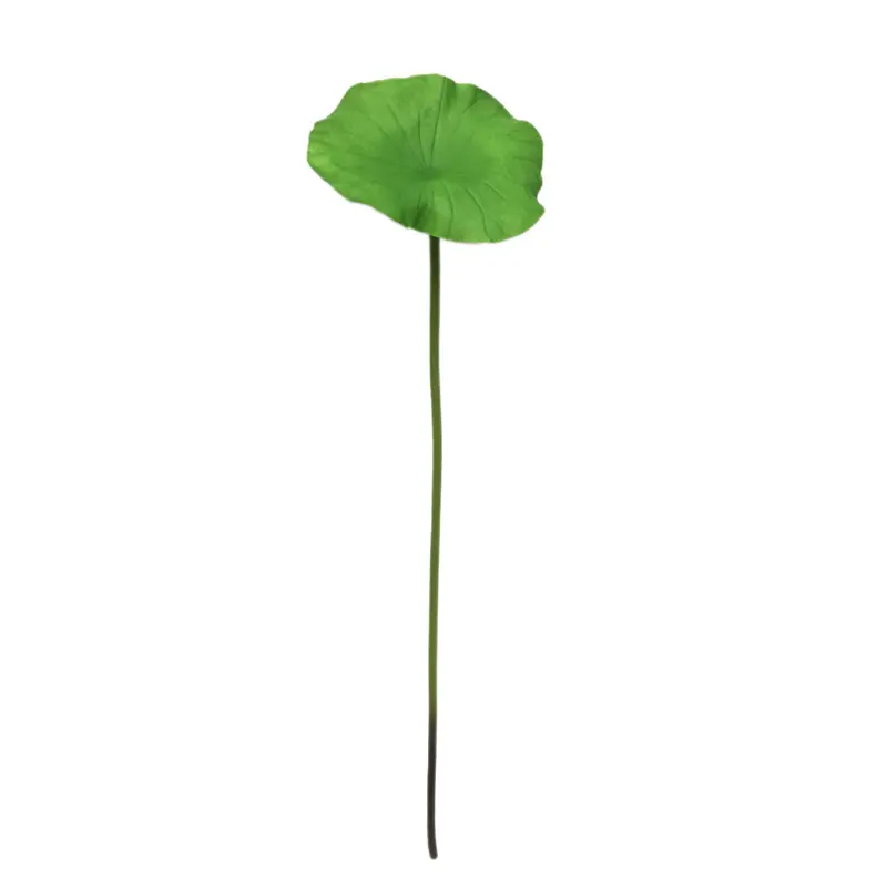 Simulated Lotus Leaf: Factory-Made Beauty