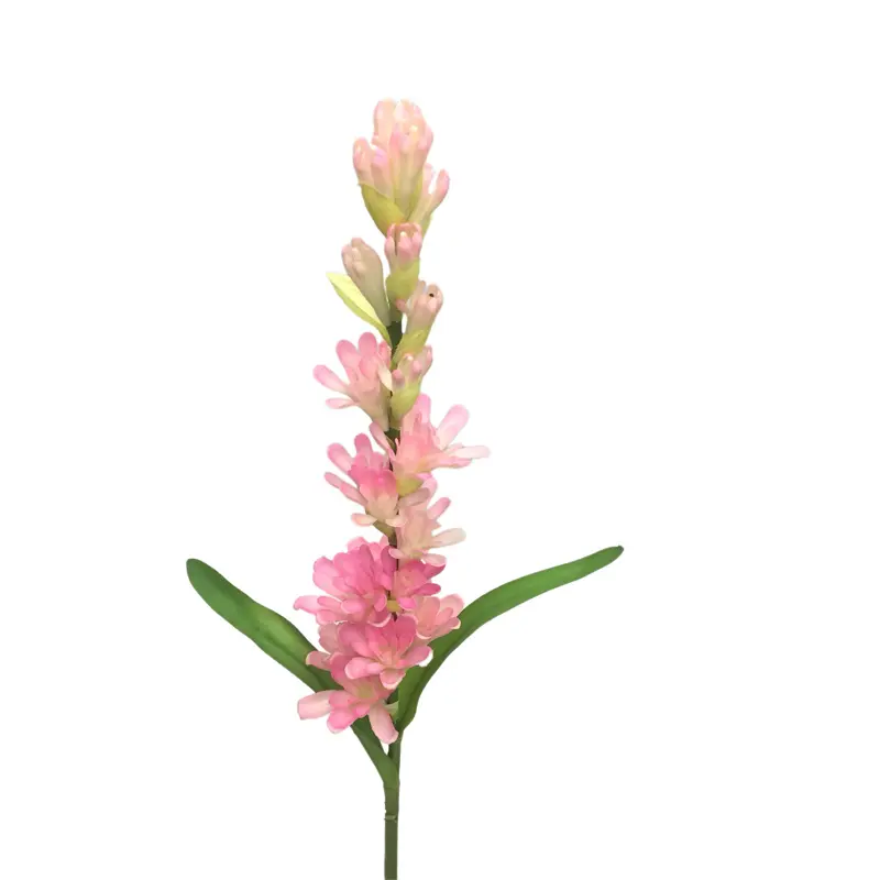 Leading Rubber Tuberose 6059-1 (8)g7b