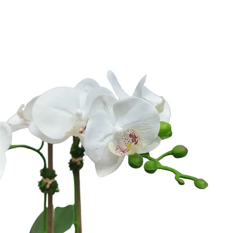Factory Supplier of High-Simulation Phalaenopsis Bonsai02ljw