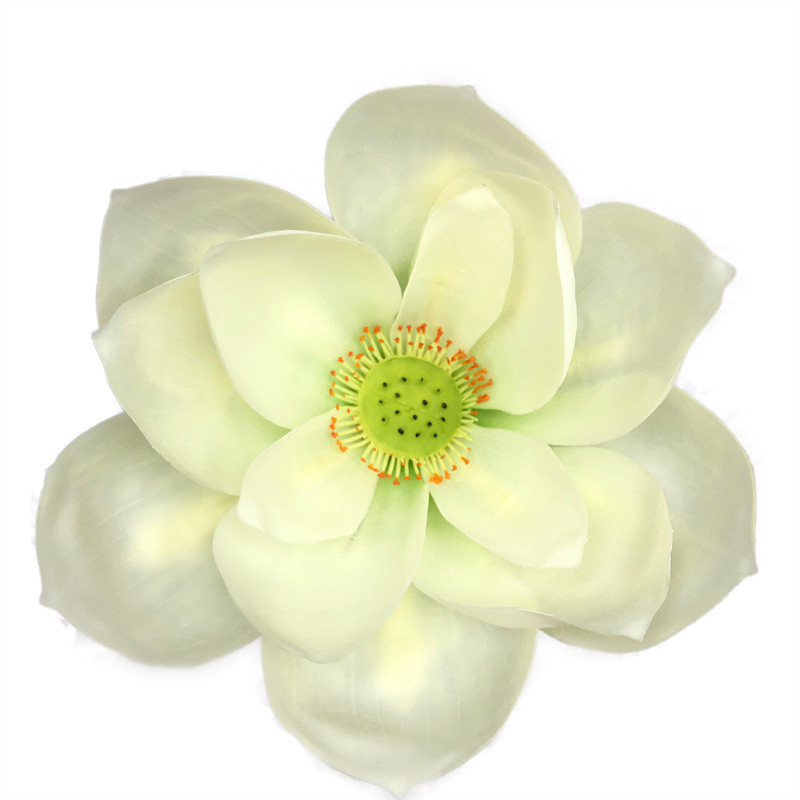 Lotus Flower Supplier for OEM201z4x