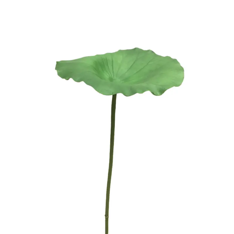 Simulated Lotus Leaf: Factory-Made Beauty