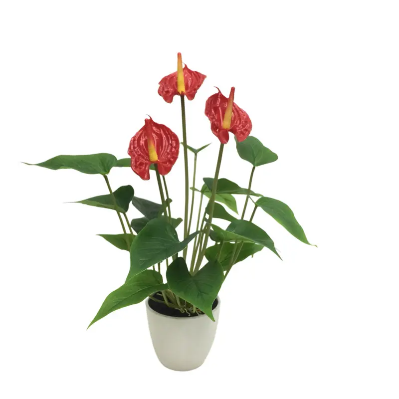 Factory-Made Anthurium Bonsai: High Simulation, Waterproof, ODM Available