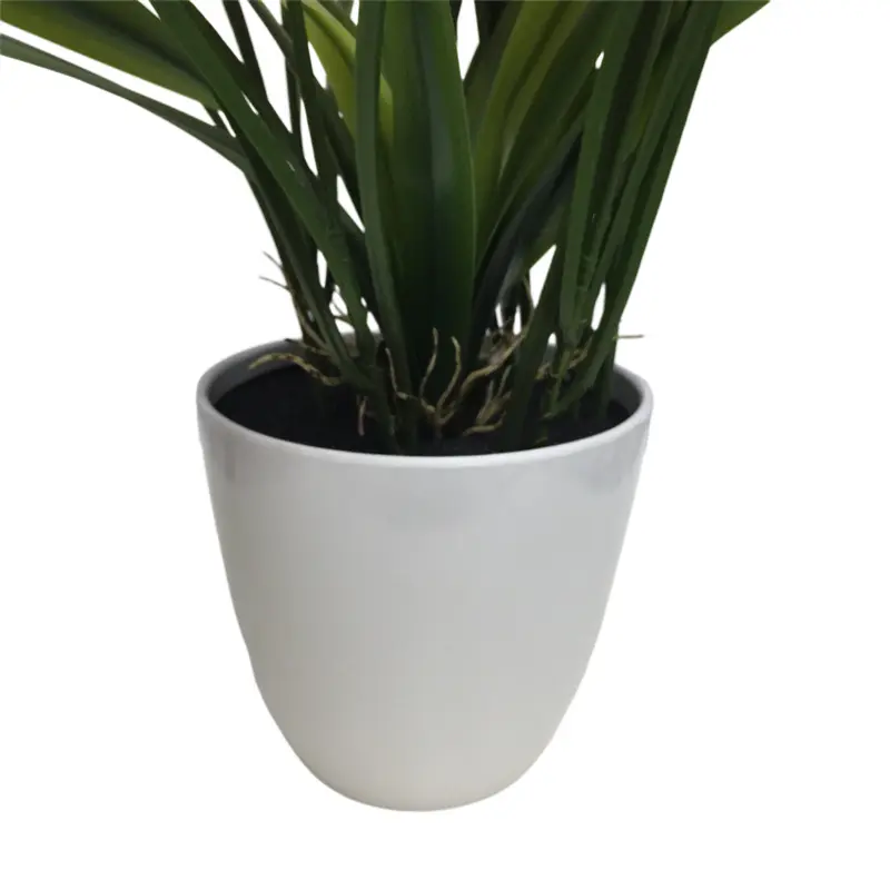 Simulated Cymbidium Bonsai 8320（2） (3)xru