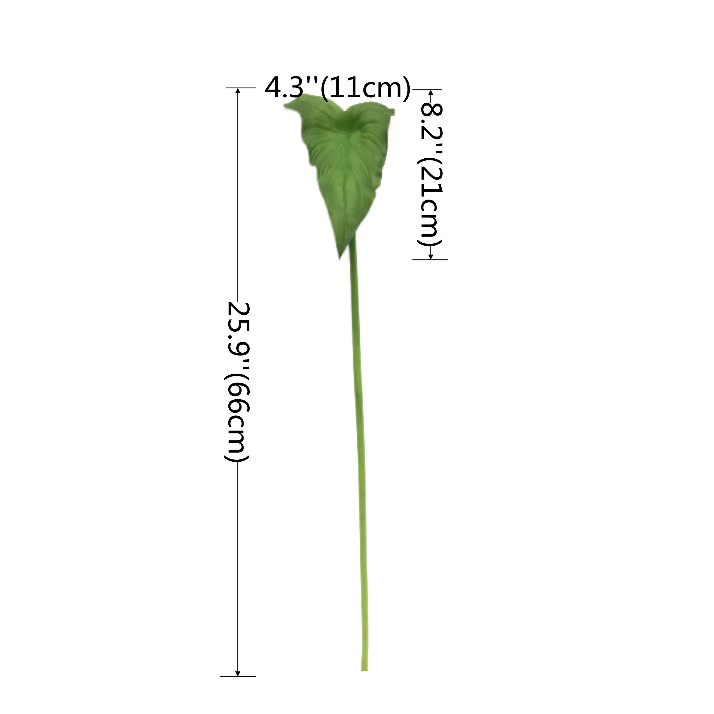 Natural Simulation Horseshoe Leaf Manufacturer