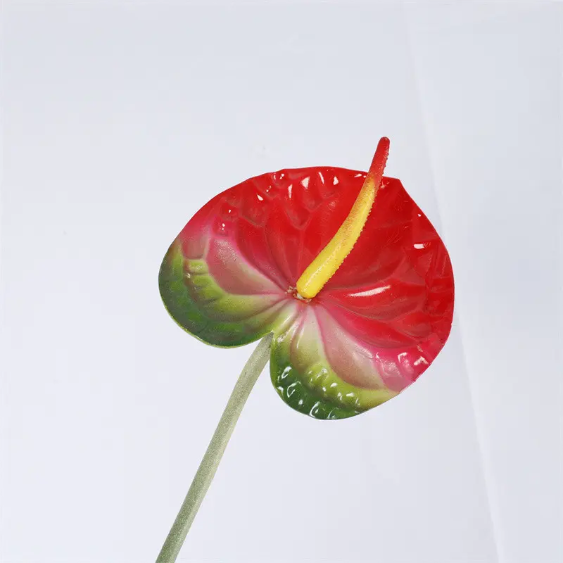 High Simulation Anthurium05bjk