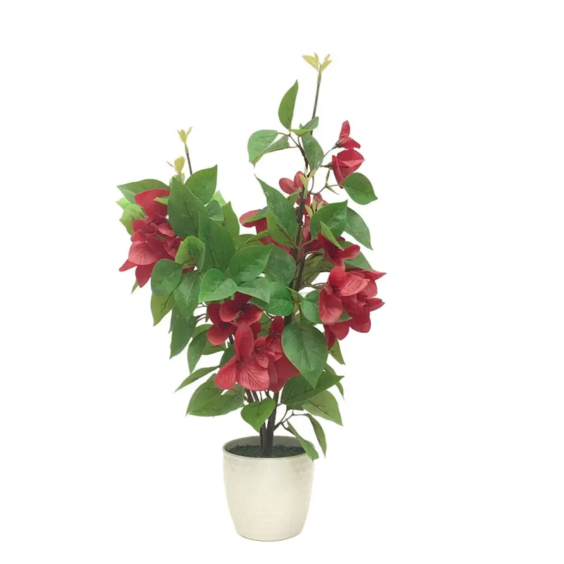 High Quality Delphinium Bonsai: Factory Direct Supplier