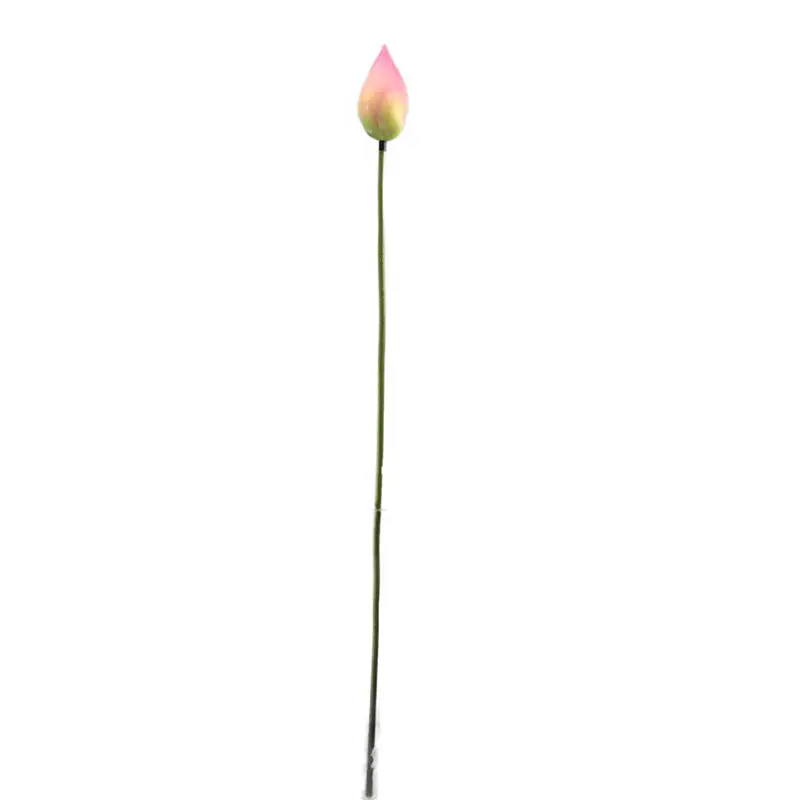 High-touch PVC Lotus Fruit: Factory Direct