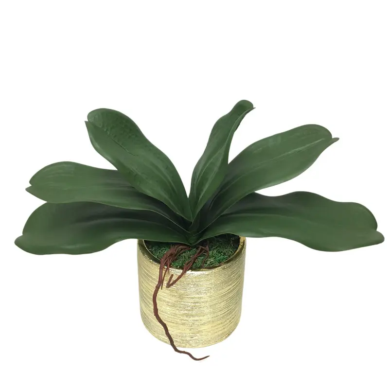 Factory Direct Highly Simulated Butterfly Orchid Leaves01c84