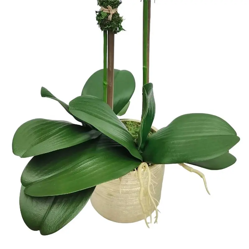 Factory Supplier of High-Simulation Phalaenopsis Bonsai01xke