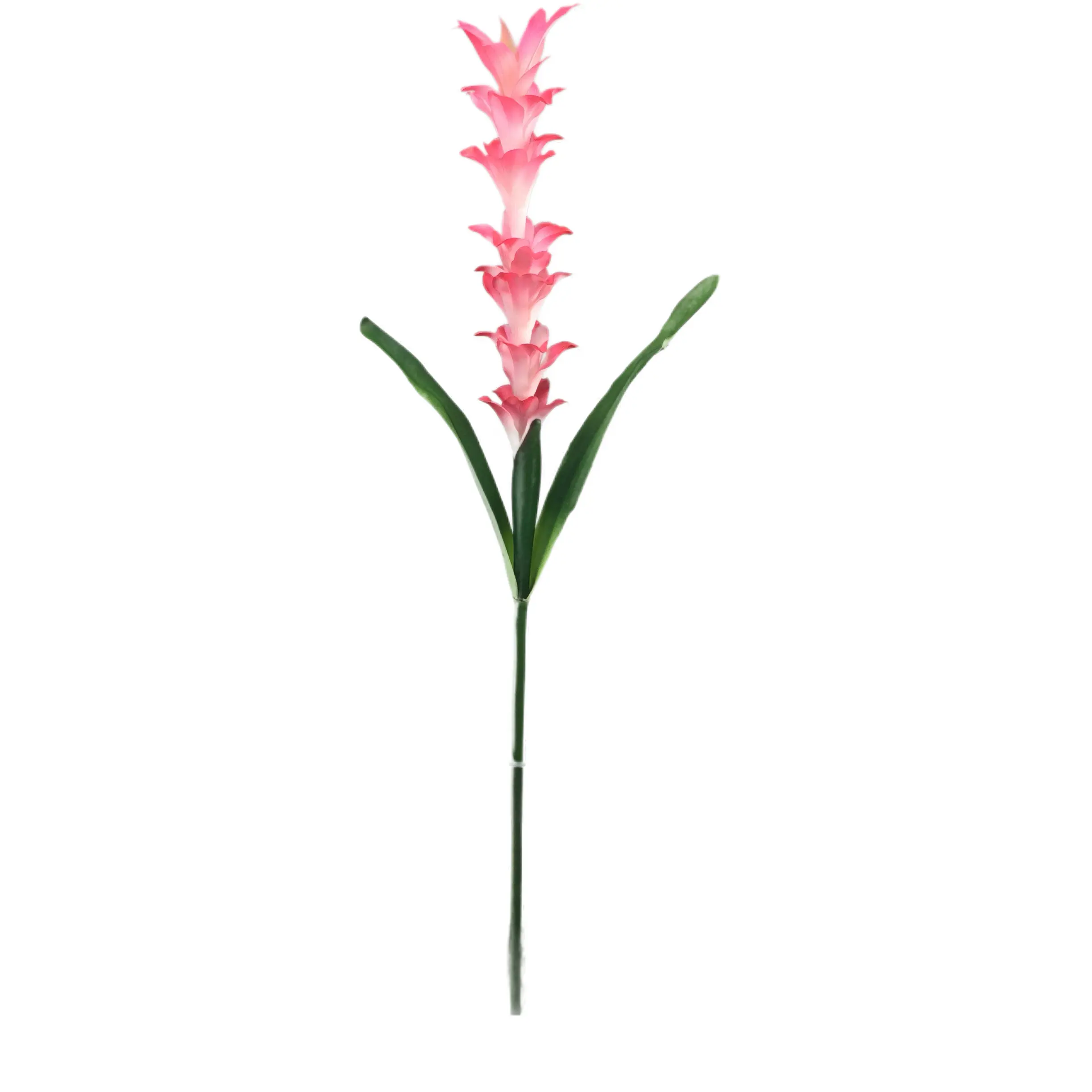Expert Manufacturers of Natural Simulation Torchflower