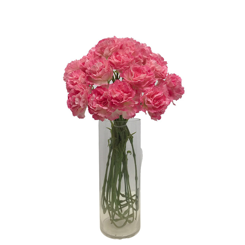 Simulation Carnations1uos