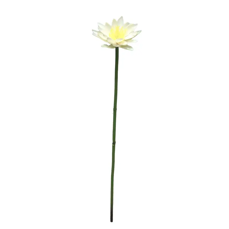 Factory Supplier of Lotus Flower: Waterproof, Environmentally Friendly