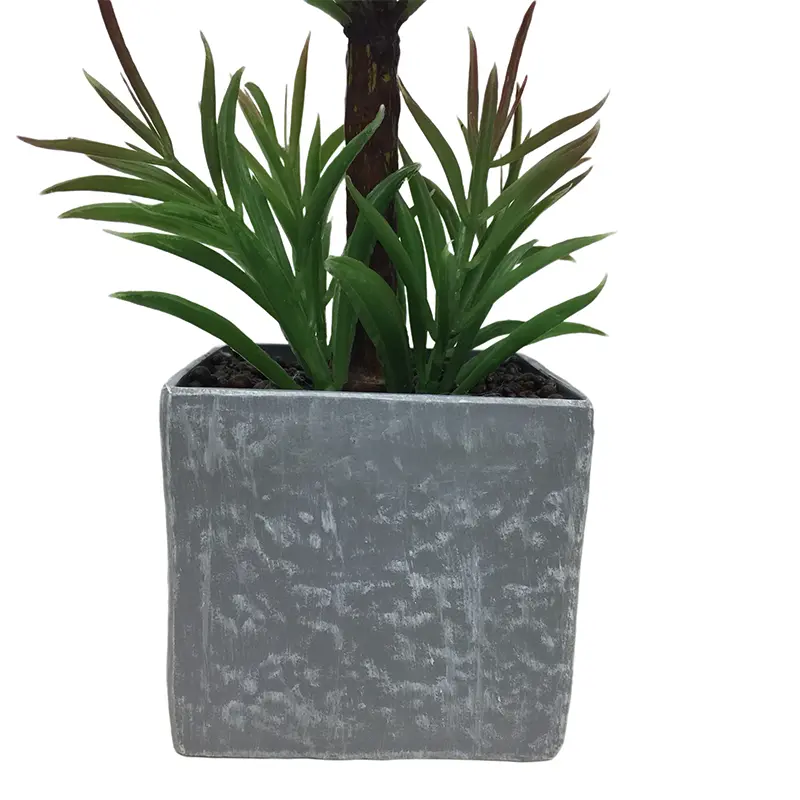 Natural Simulation Podocarpus Manufacturer