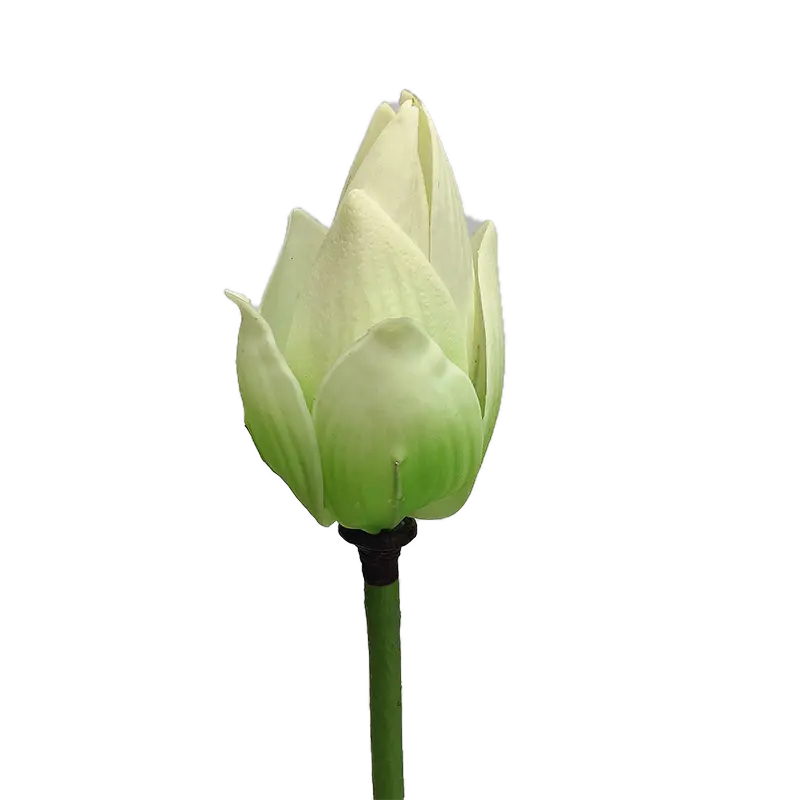 Natural Simulation Lotus Bud Manufacturer