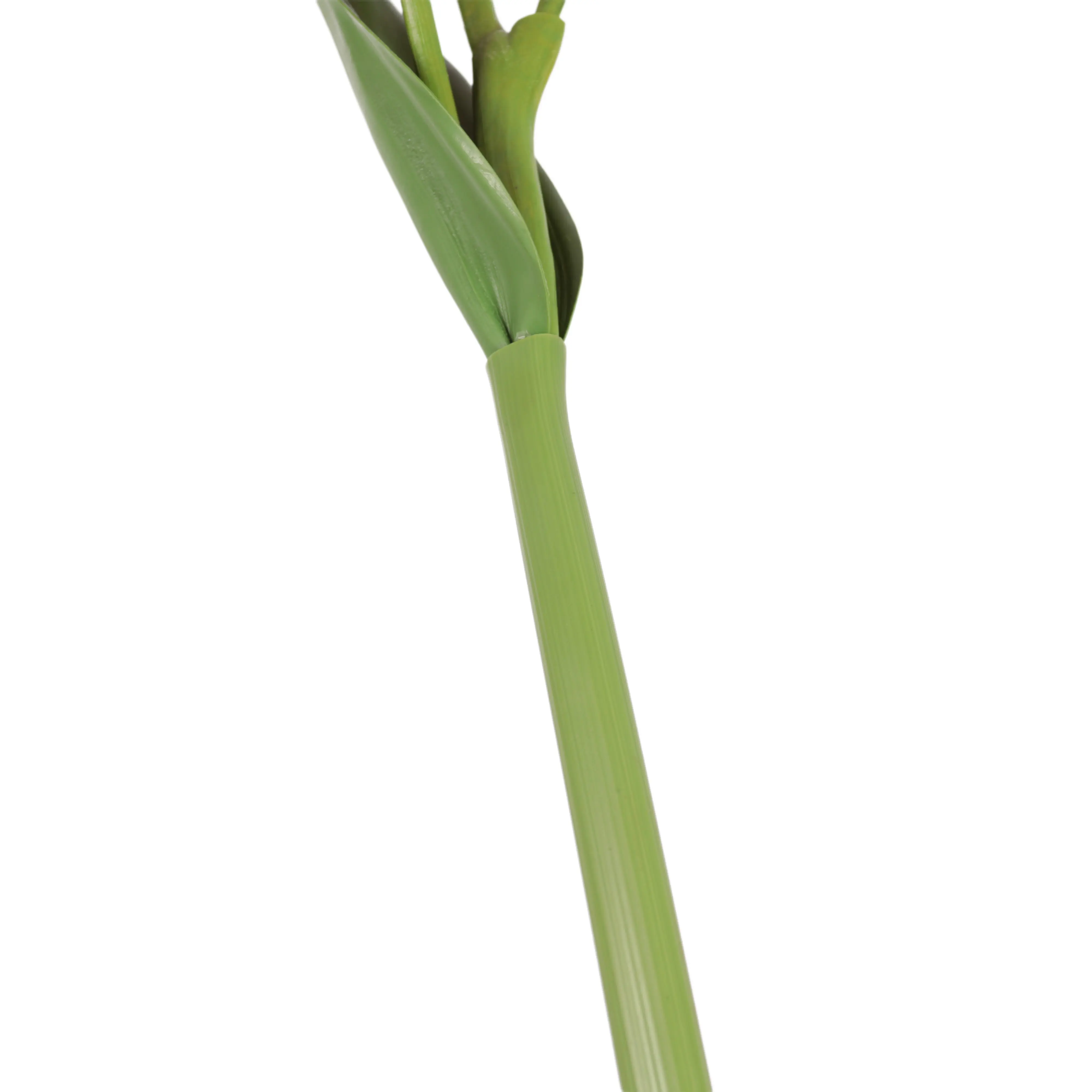 Natural Simulation Carter Orchid Manufacturer