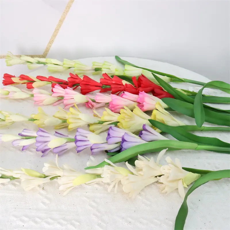 Leading Rubber Tuberose 6059-2 (1)1jm