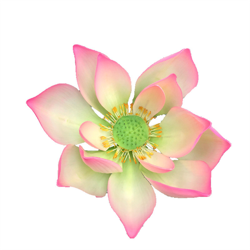 Lotus Flower Supplier for OEM212k9r