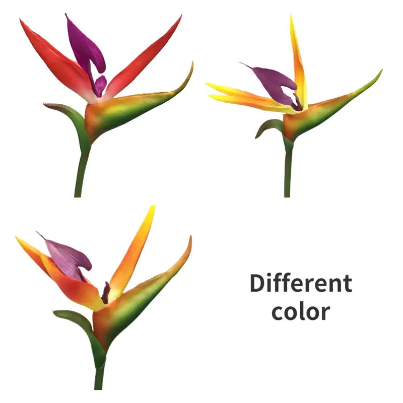 Factory Supplier: High Simulation PVC Bird of Paradise Bonsai