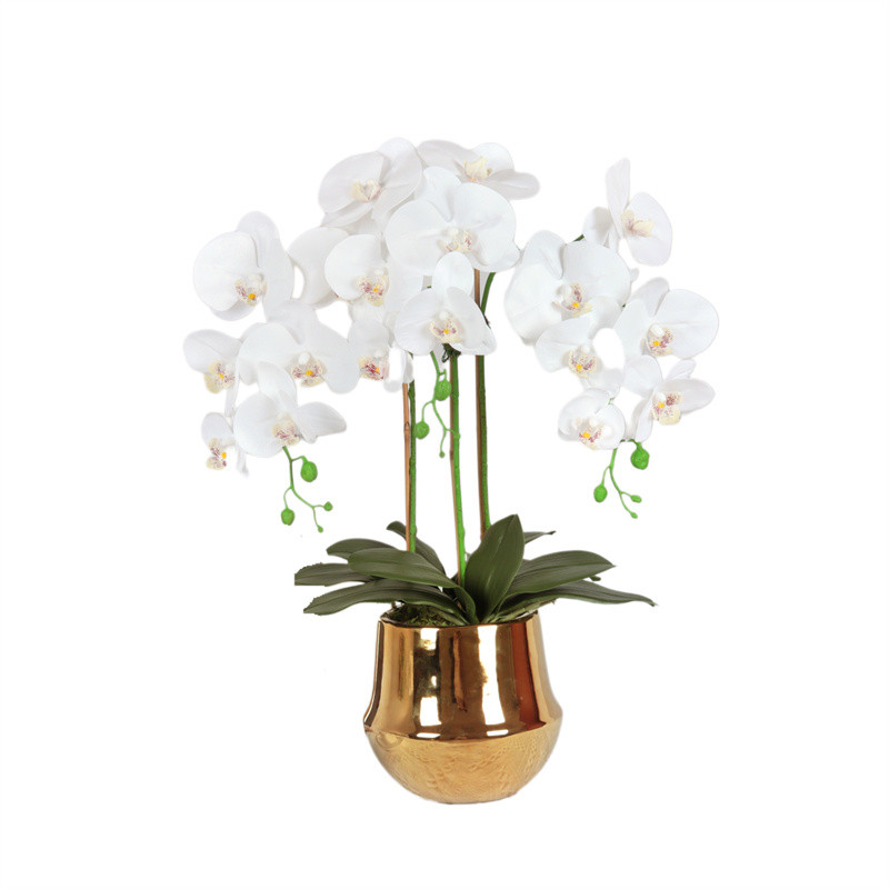 Factory Supplier of High-Simulation Phalaenopsis Bonsai