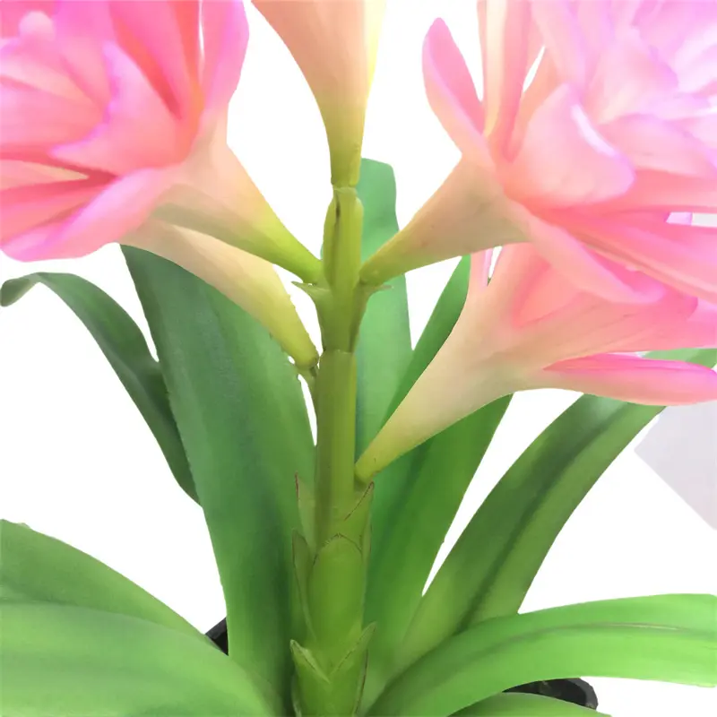 Leading Rubber Tuberose 6279 (3)0uj