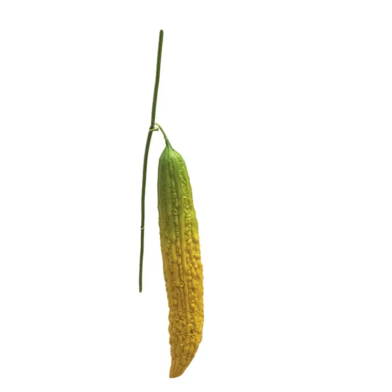 Simulated Bitter Melon: Natural Simulation Pu Manufacturing