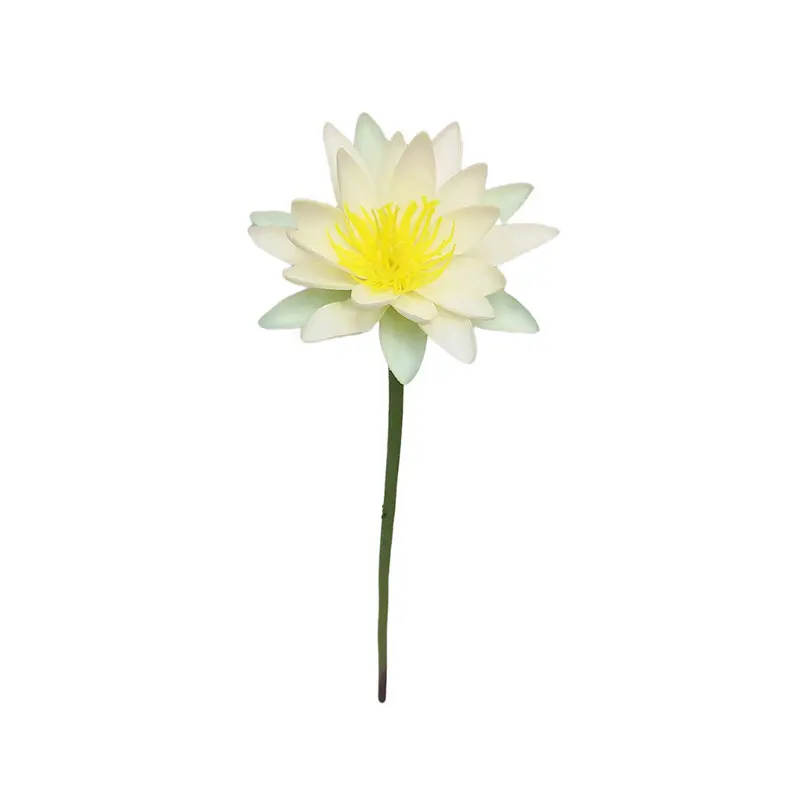 Factory Supplier of Lotus Flower: Waterproof, Environmentally Friendly