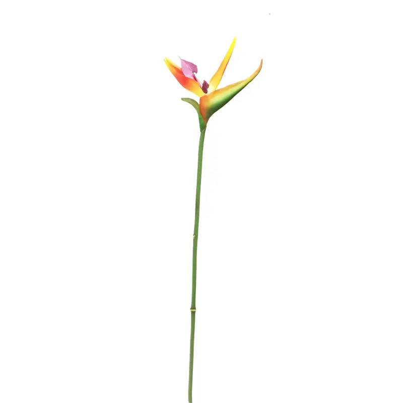 Factory Supplier: High Simulation PVC Bird of Paradise Bonsai