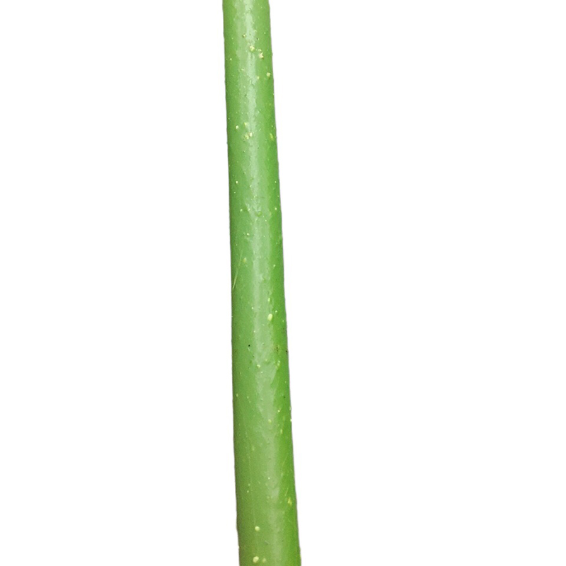 2021-05-22 1631577pw