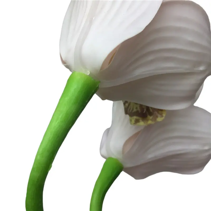 Simulated Cymbidium8198 (8)oc2