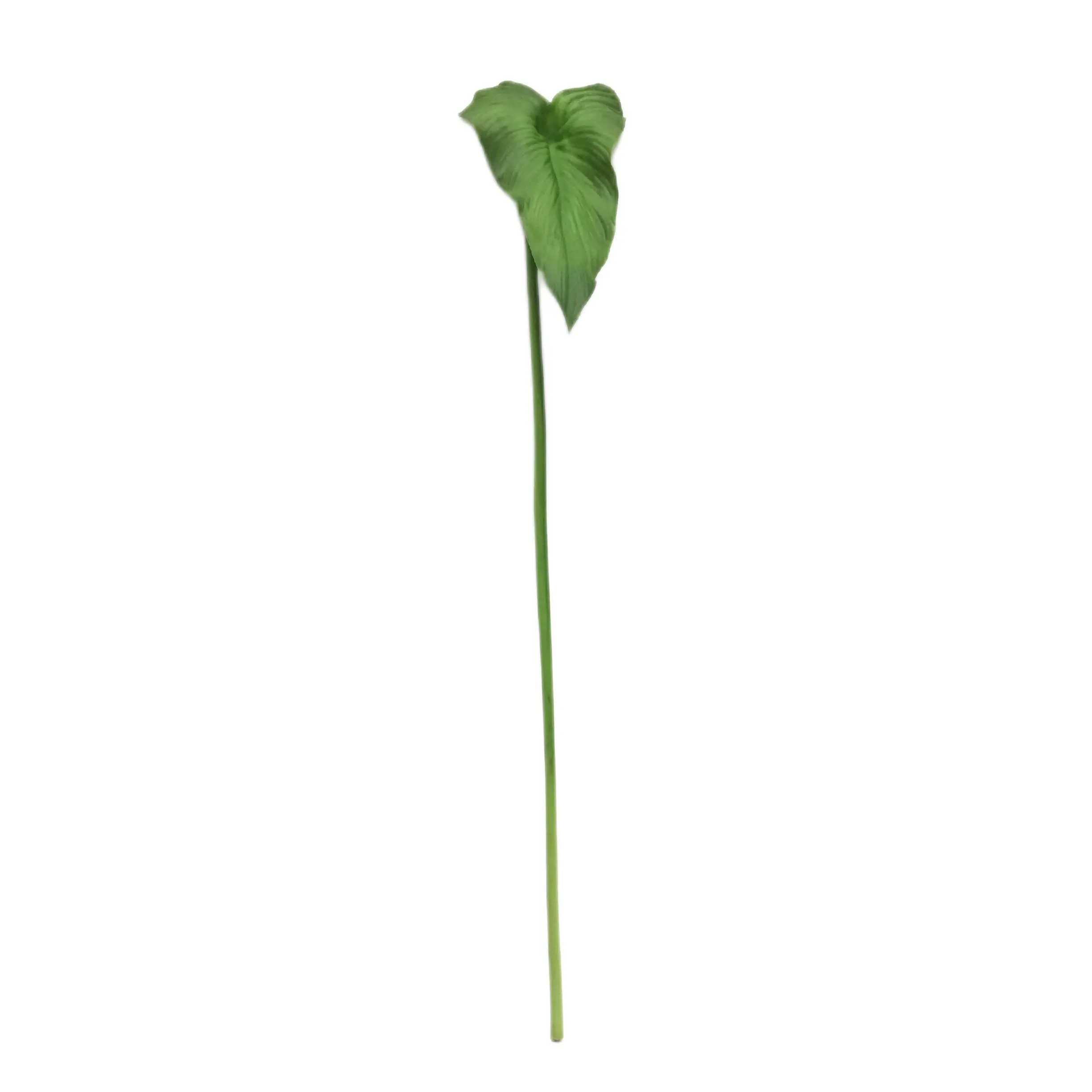 Natural Simulation Horseshoe Leaf Manufacturer