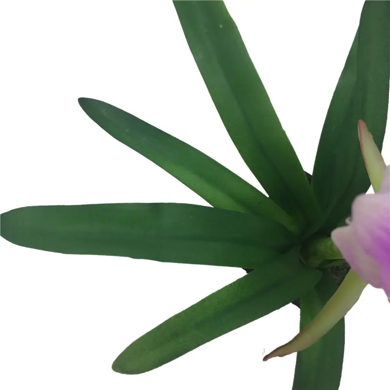 PVC Daffodil Bonsai Supplier 2251 (1)7tt