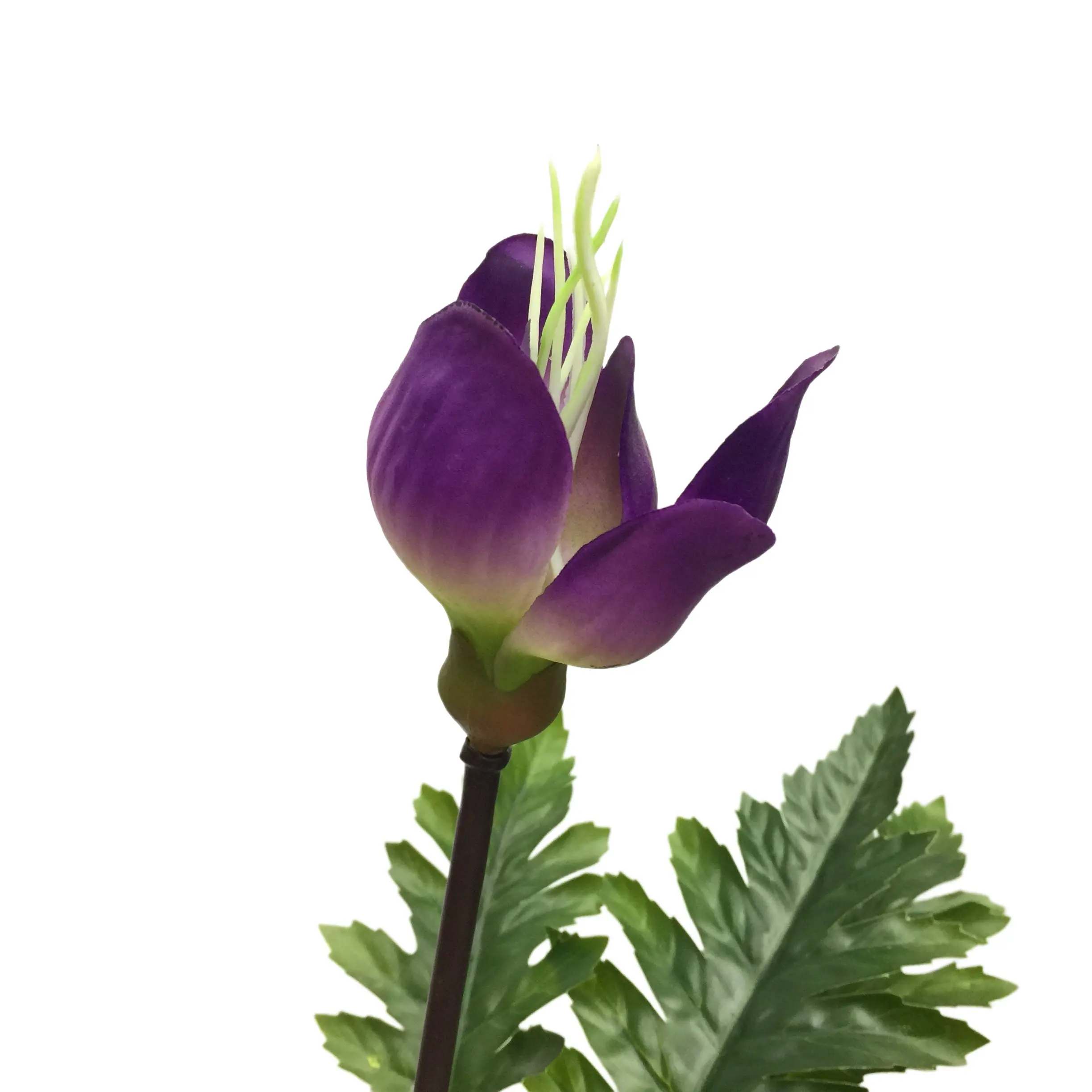 Natural Simulation Artificial Poppy