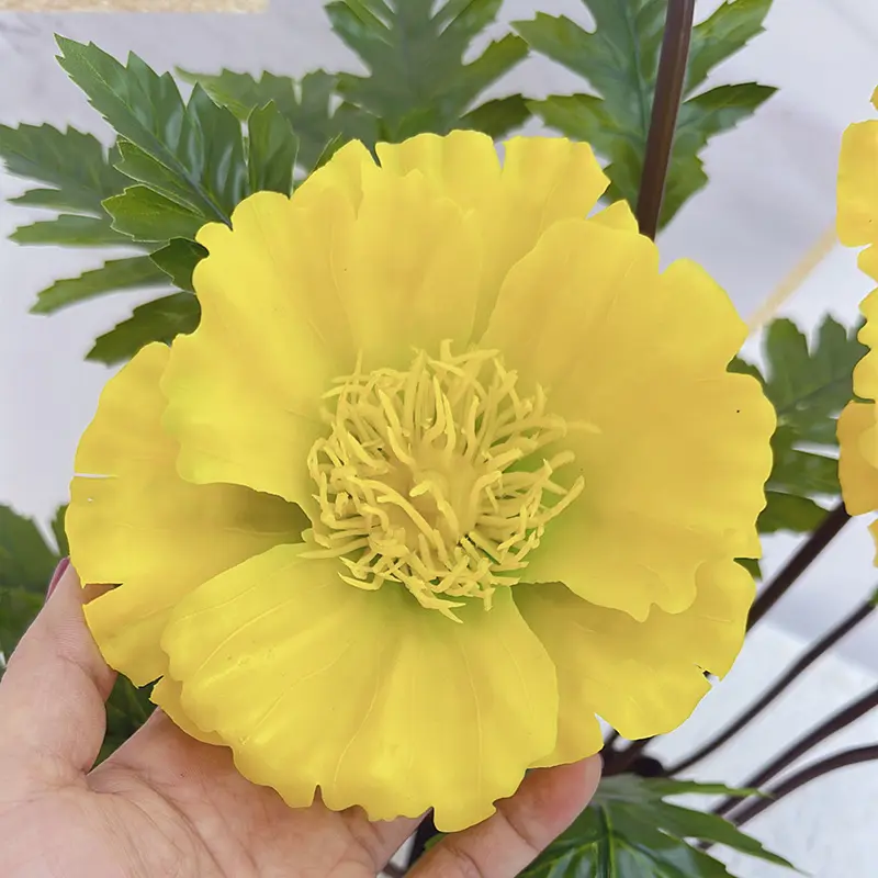 Simulated Poppies 2191-22 (3)3fy