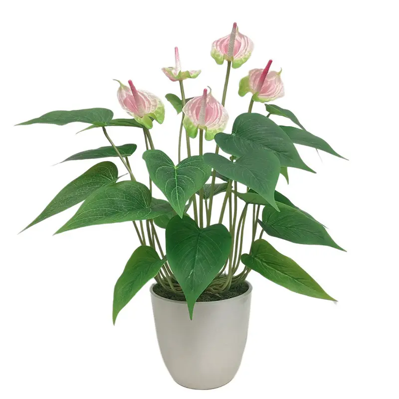 Factory-Made Anthurium Bonsai: High Simulation, Waterproof, ODM Available