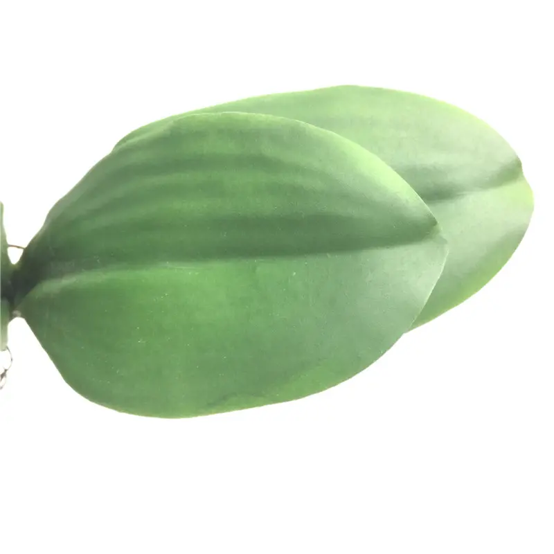 Factory Direct Highly Simulated Butterfly Orchid Leaves0200p