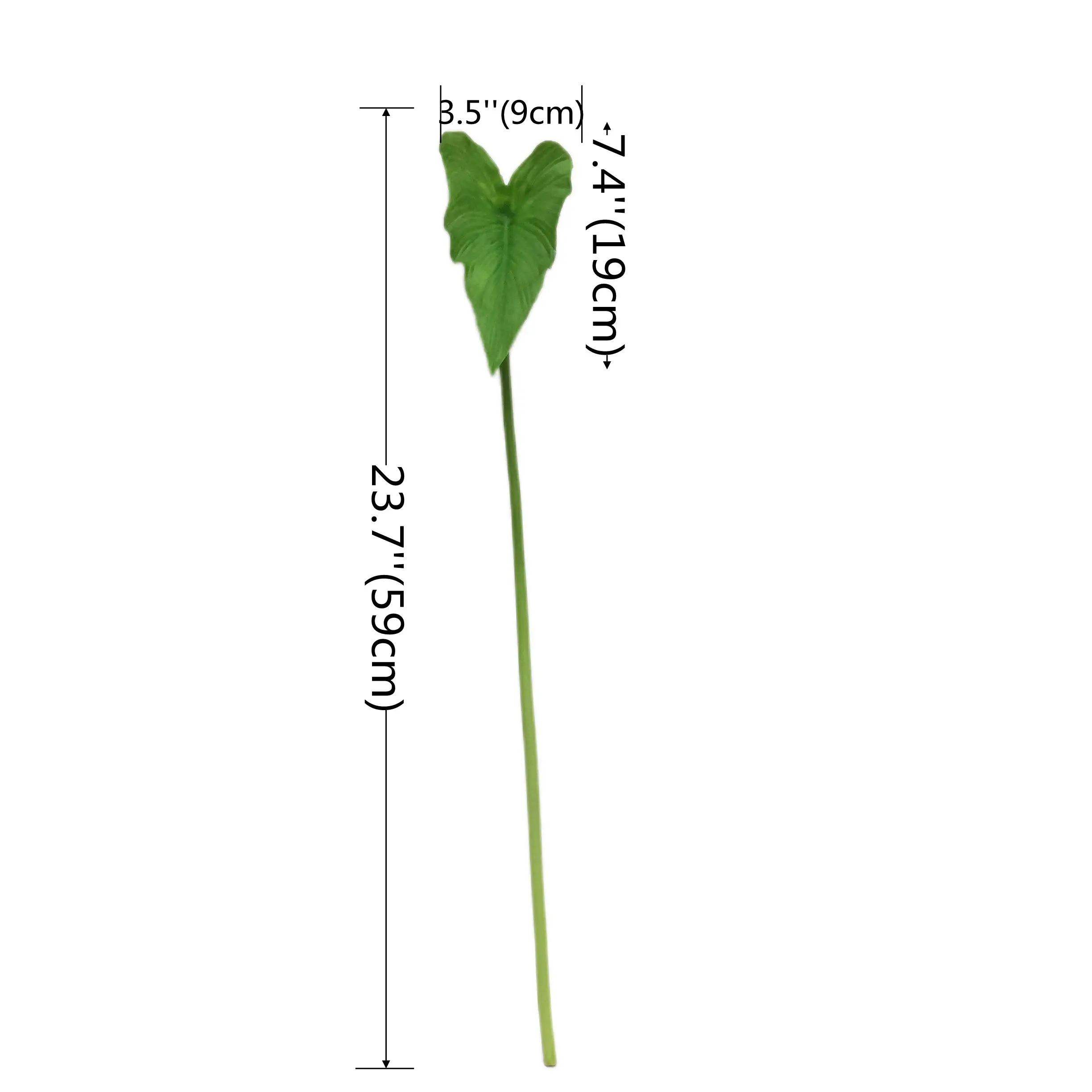 Natural Simulation Horseshoe Leaf Manufacturer