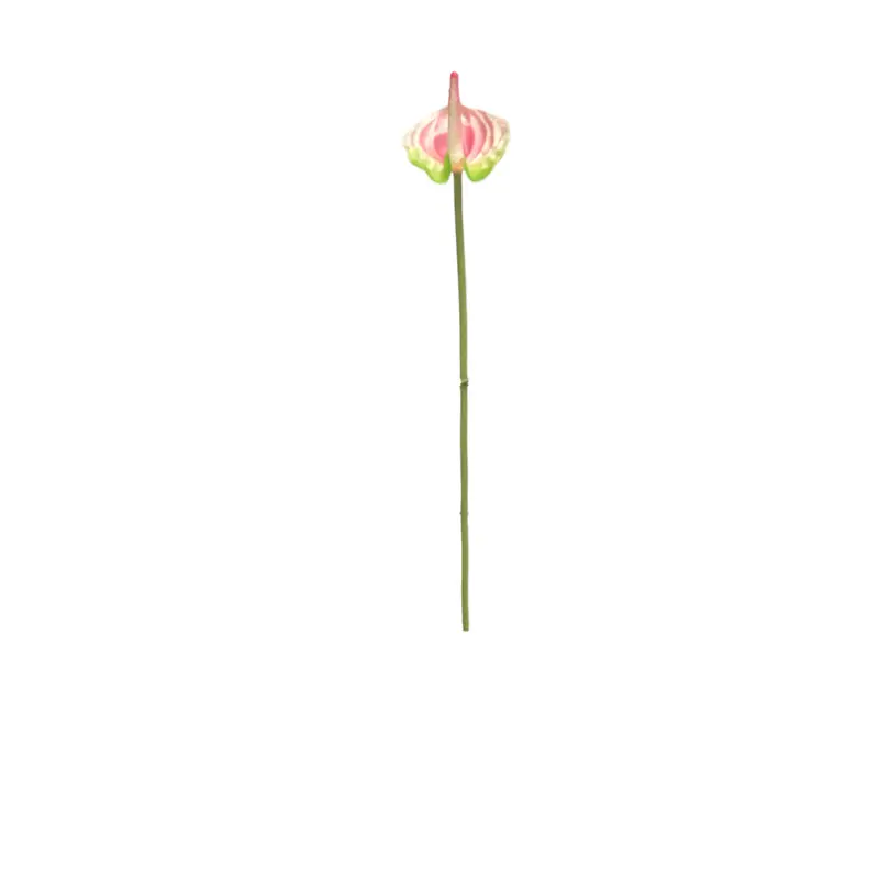 High Simulation Anthurium: Factory Direct Supplier