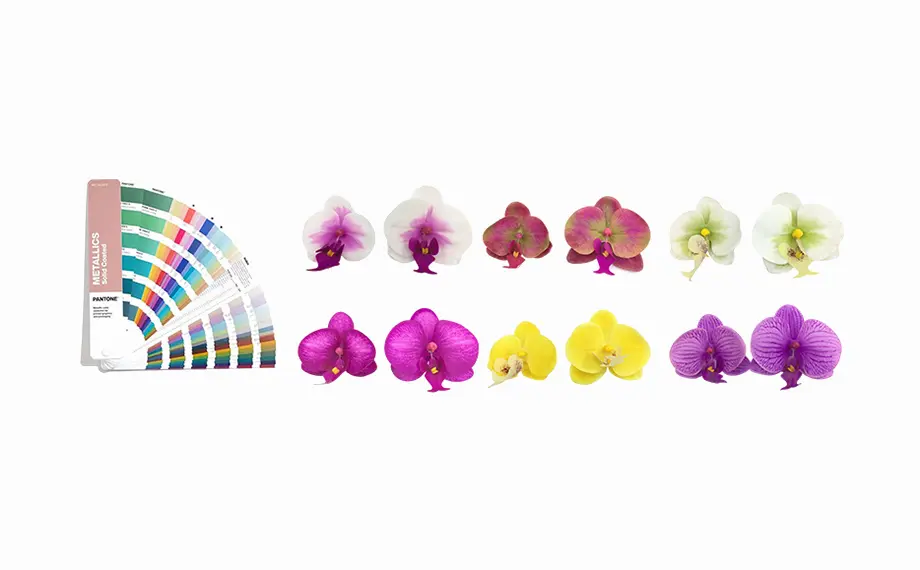 Customizable In Various Colors