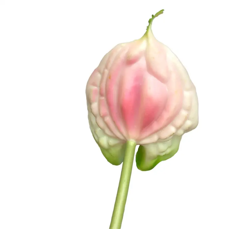 High Simulation Anthurium102msb