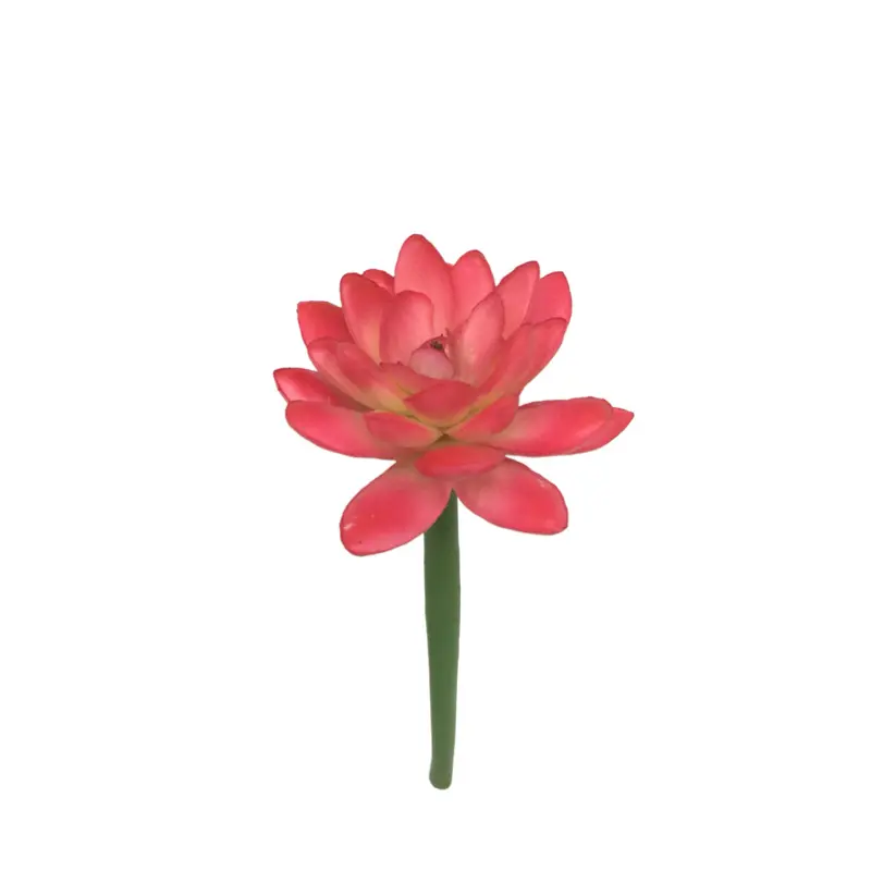 Simulation Snow Lotus（2092） (5)tr8