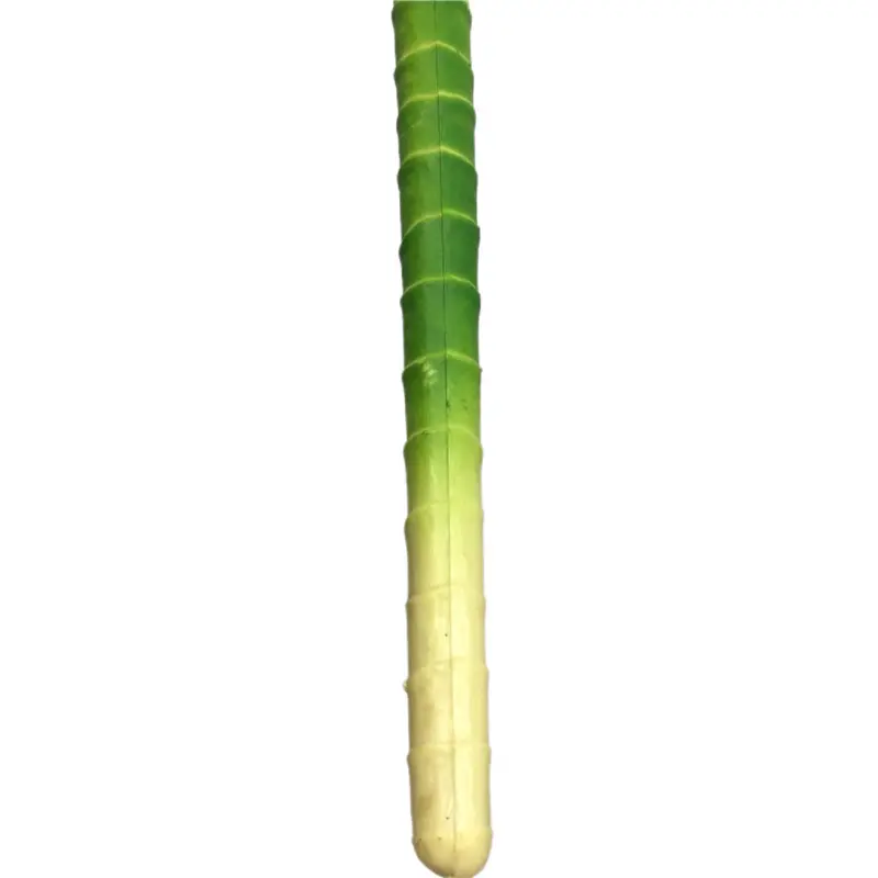 Simulated Bamboo 2216-00 (2)ovx