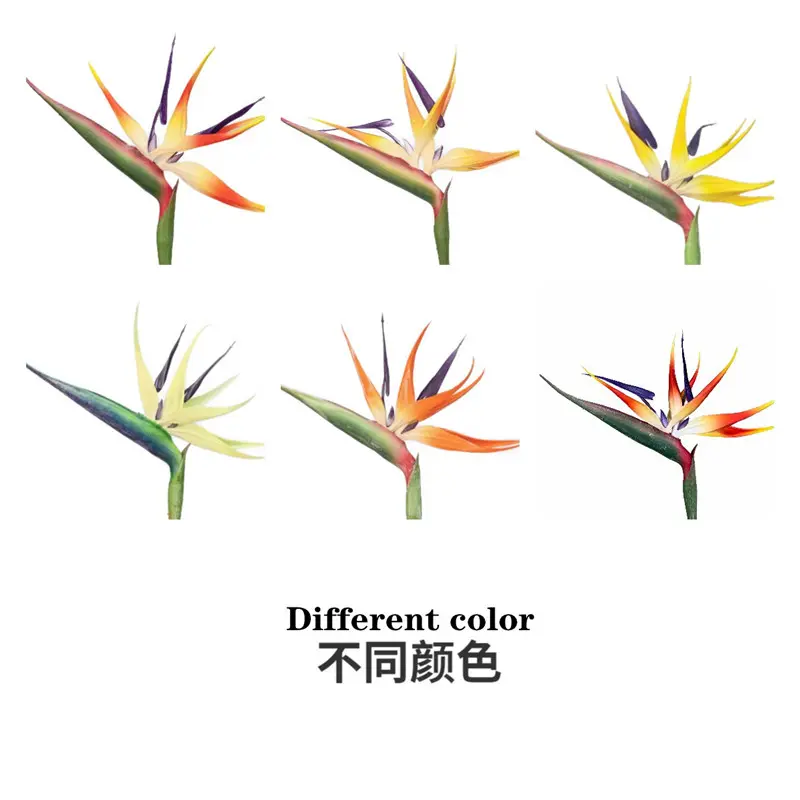 Factory Supplier: High Simulation PVC Bird of Paradise Bonsai