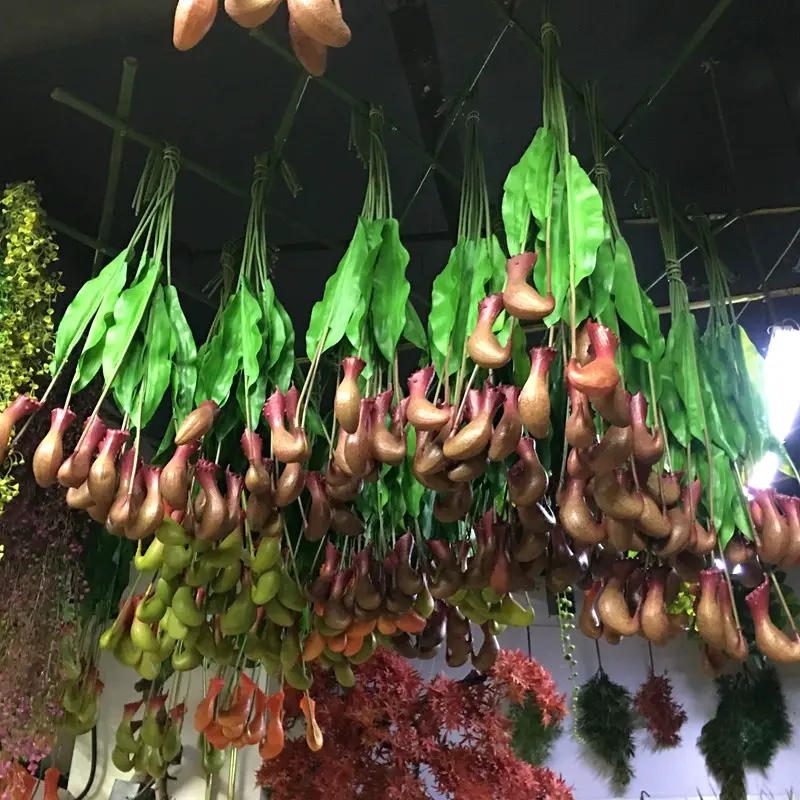 PVC pitcher plants 6034 221 (1)c5w