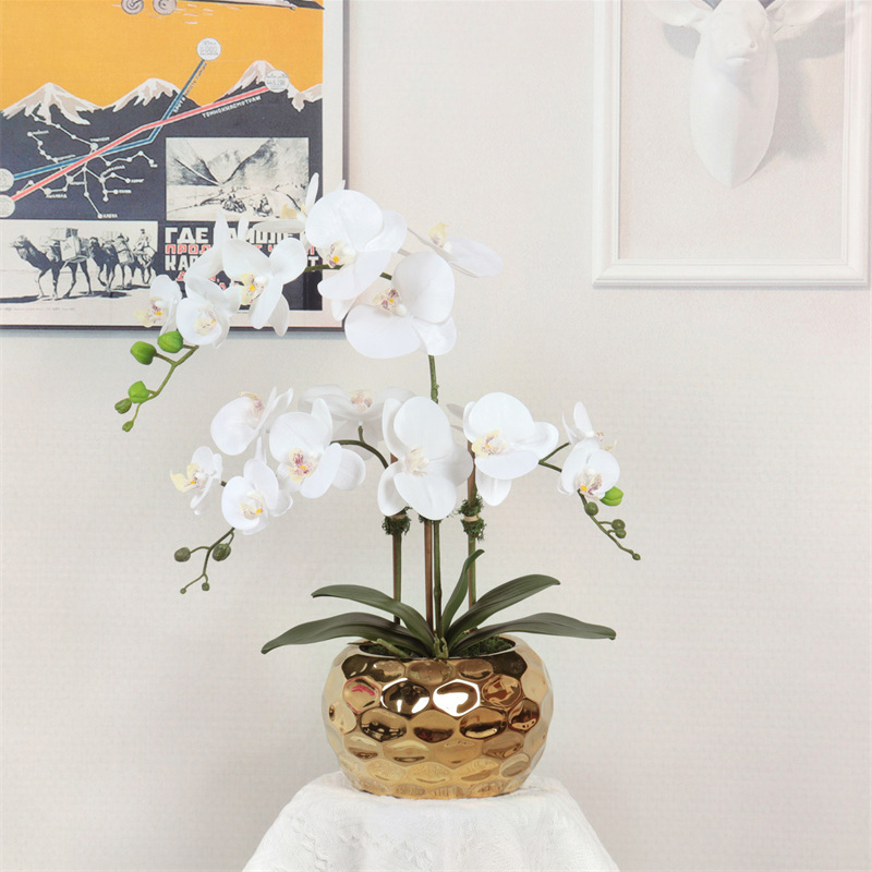 Factory Supplier of High-Quality Phalaenopsis Artificial Flower11g6z